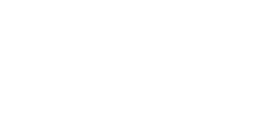 norton logo