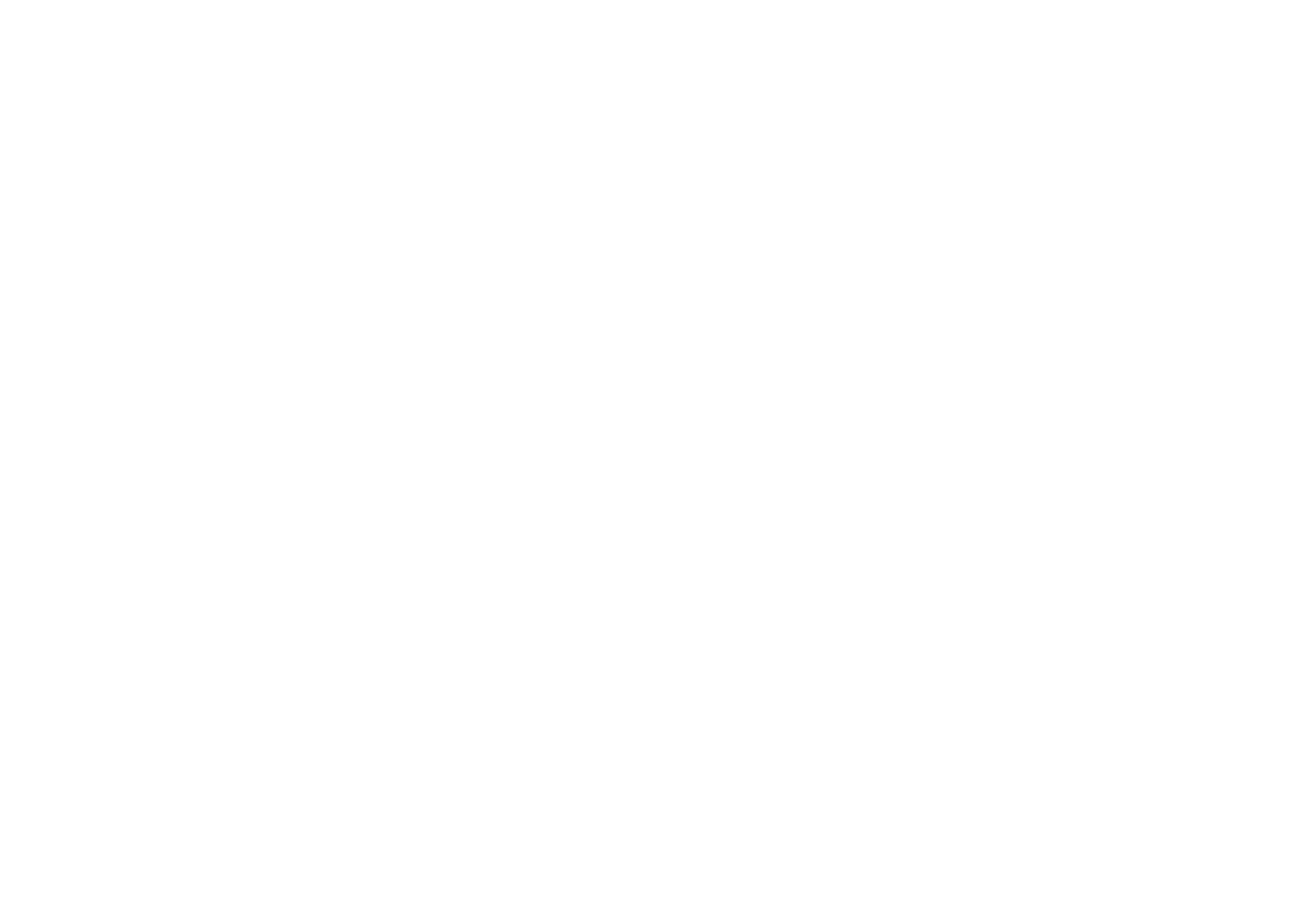 quick delivery icon