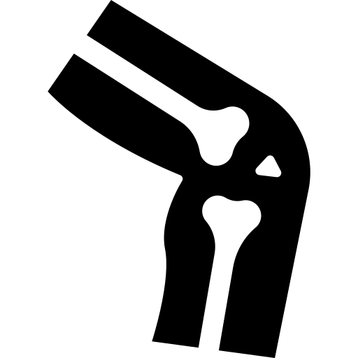 Orthopedic icon