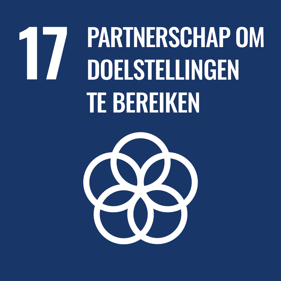 SDG 17